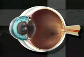 Normal-Eye-Diagram
