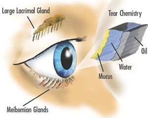 Tearing-on-the-eye-can-be-a-side-effect-of-Dry-Eye